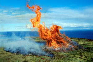 Hawaii wildfire.